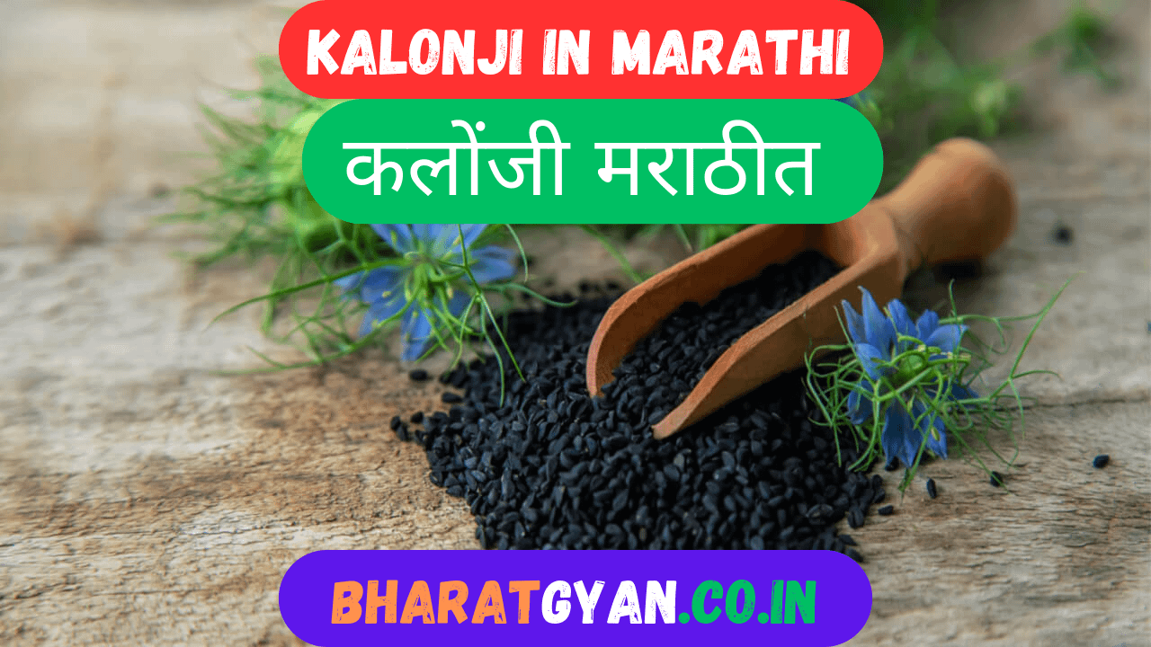 Kalonji in Marathi
