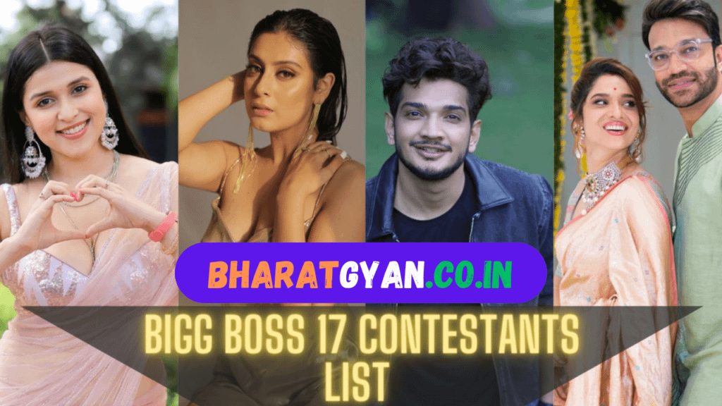 Bigg Boss 17 Contestants List with Photos